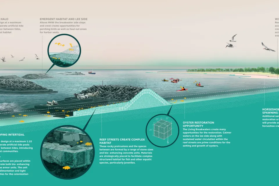Rendering of Living Breakwaters project